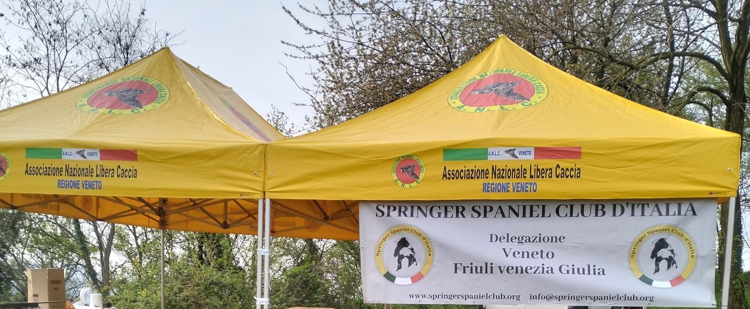 CAMPIONATO REGIONALE SPANIEL 2024